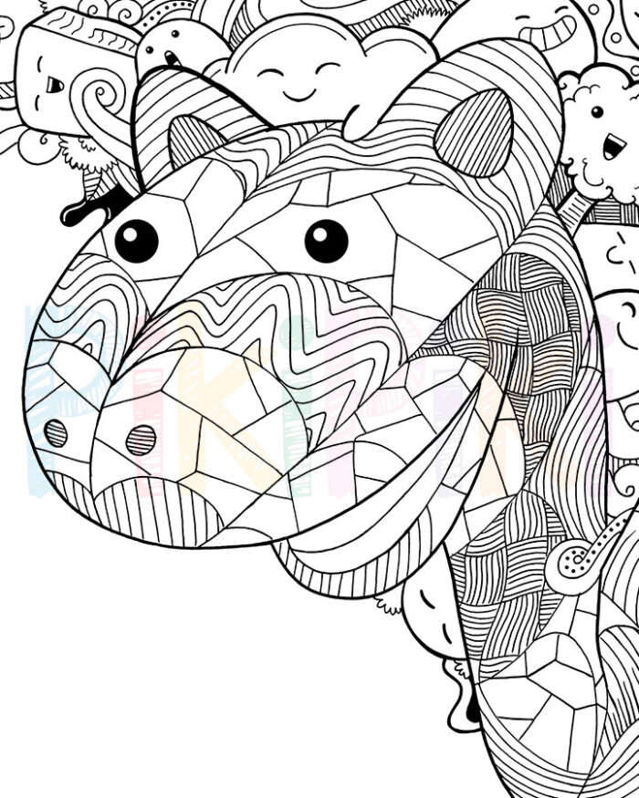 Camello